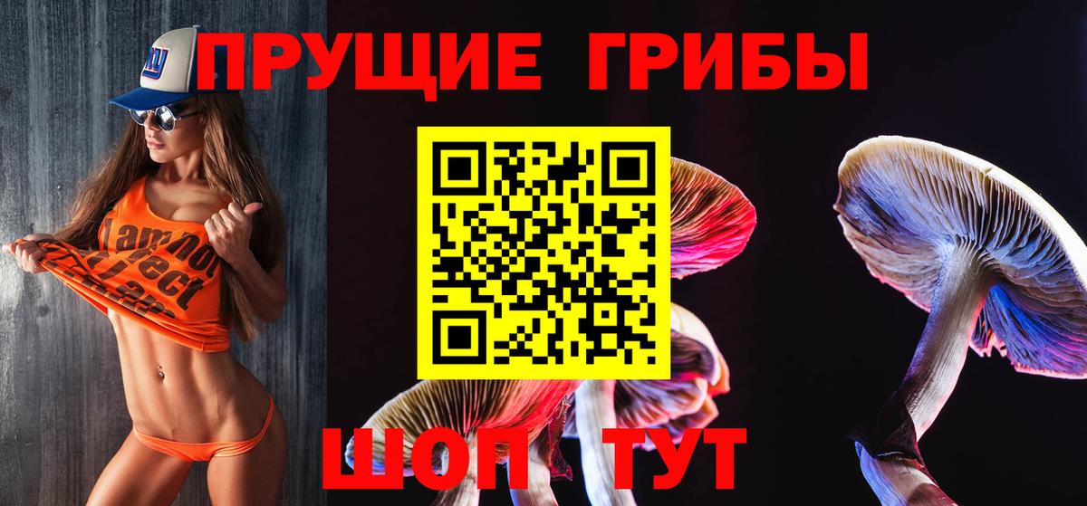 Еманжелинск  Галлюциногенные грибы Cubensis  наркота  Вход с VPN 