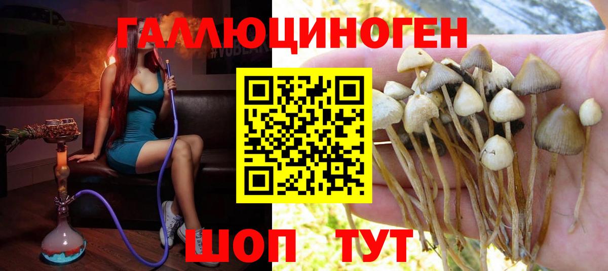 Галлюциногенные грибы Magic Shrooms Еманжелинск